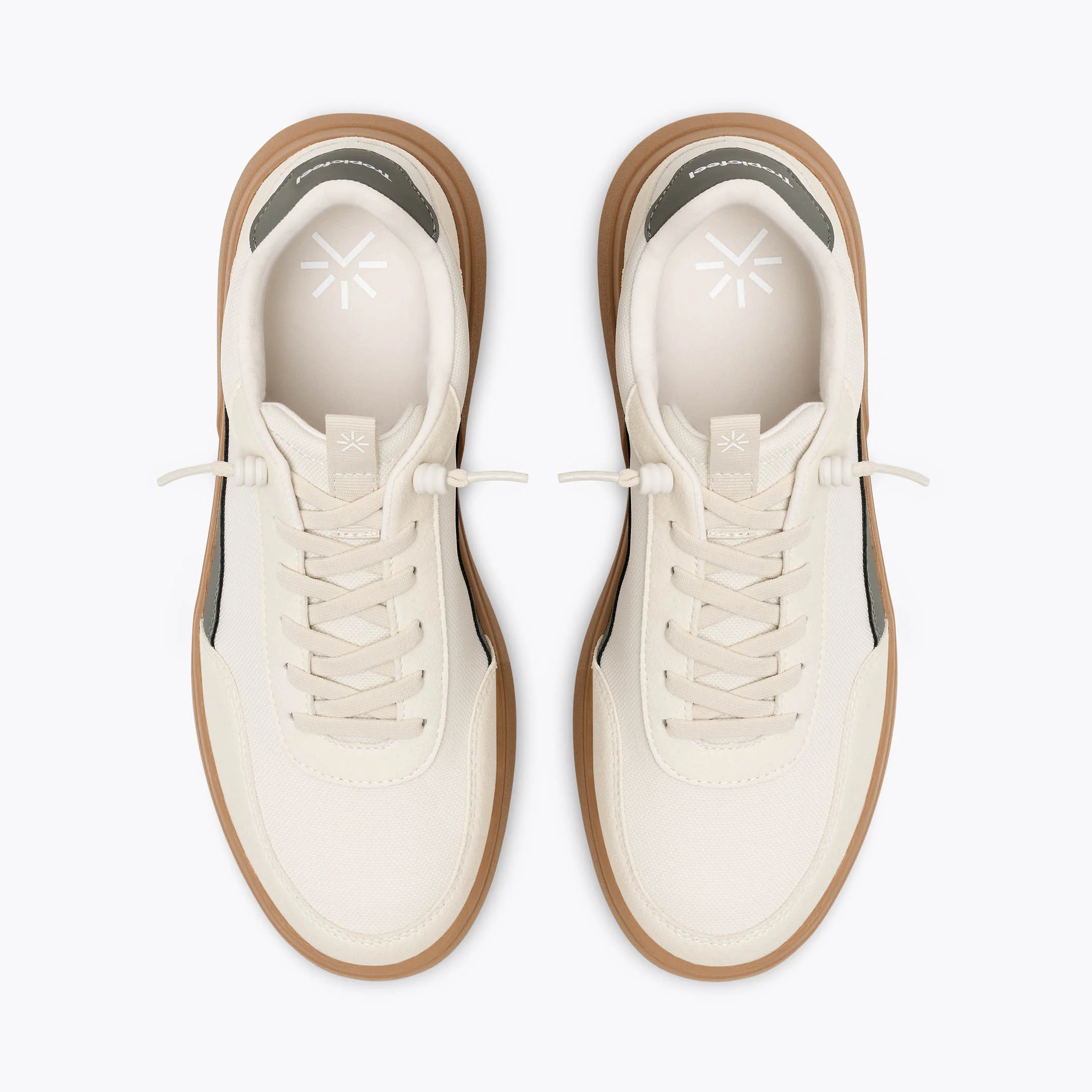 Geyser Island Fossil - Image 5