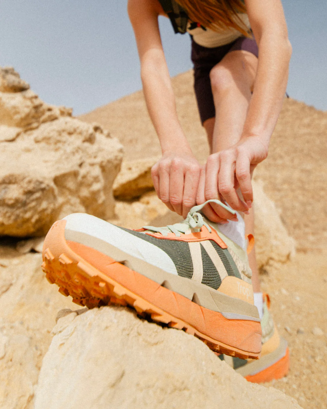 Terra.001 Sea Sunrise - Image 10