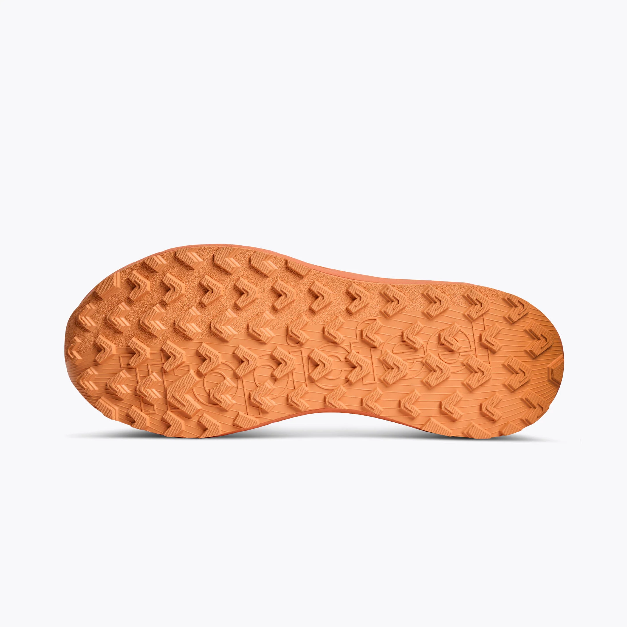 Terra.001 Sea Sunrise - Image 4