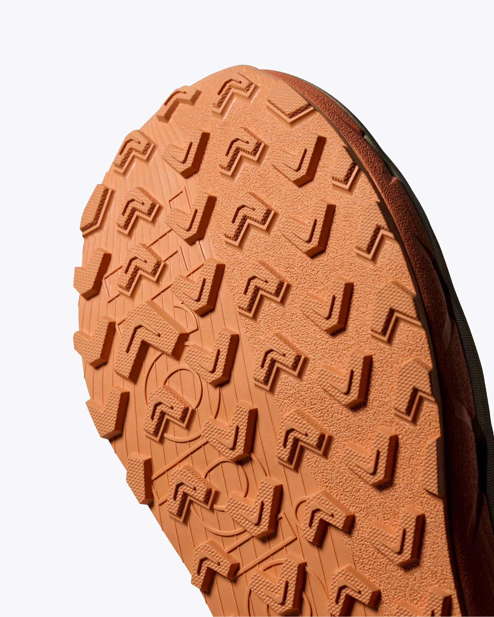 Terra.001 Sea Sunrise - Image 9