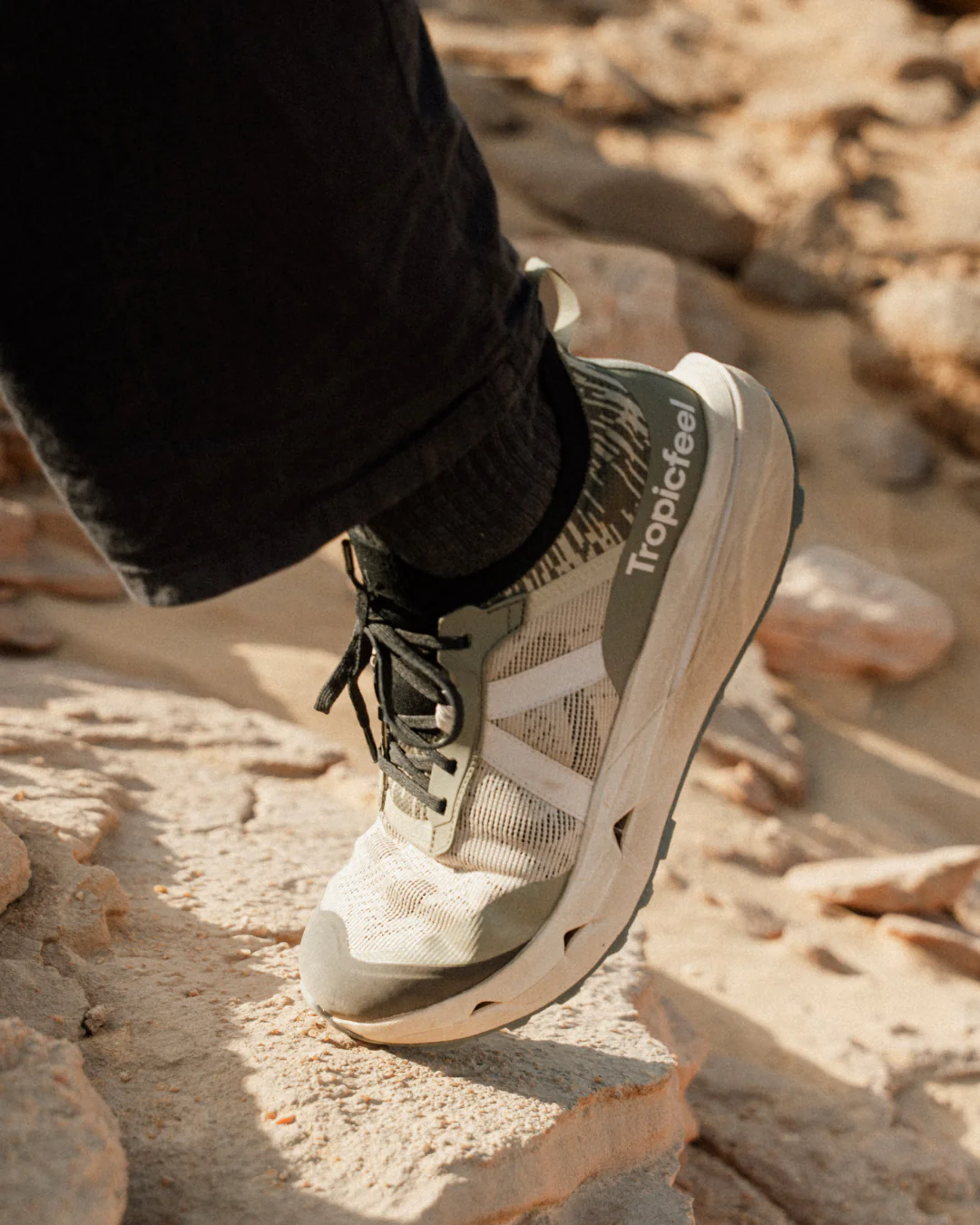 Terra.001 Summer Forest - Image 10