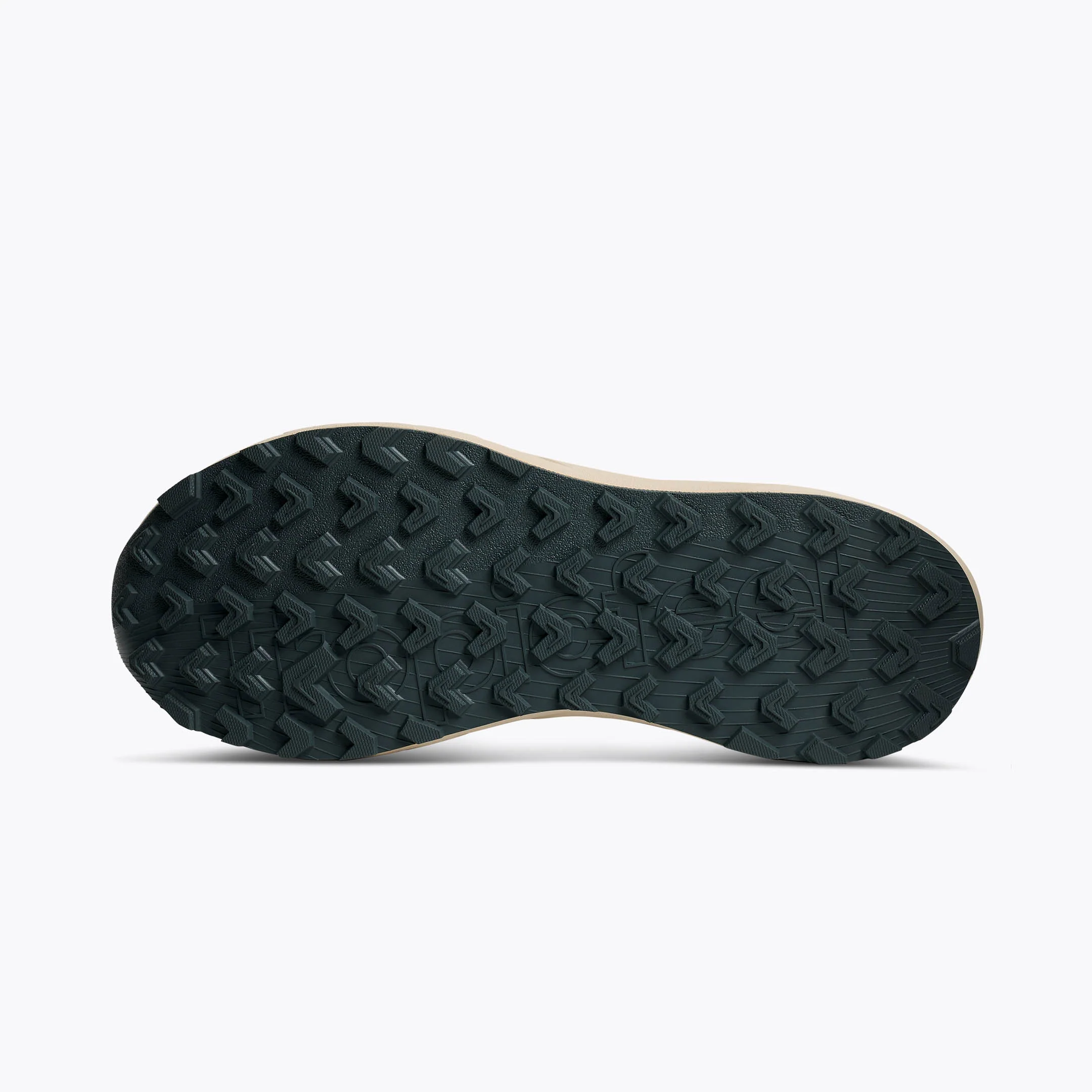 Terra.001 Summer Forest - Image 4