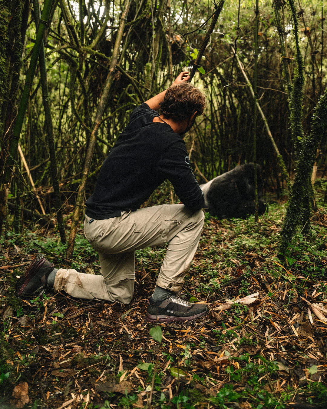 Zenda Coffee Brown - Image 11