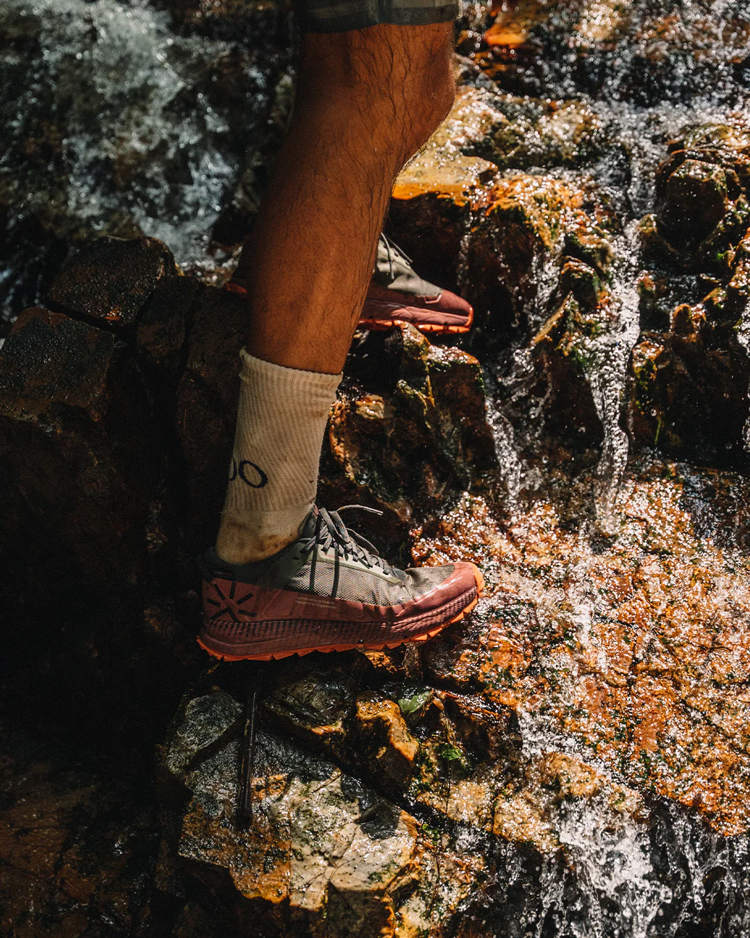 Zenda Coffee Brown - Image 12