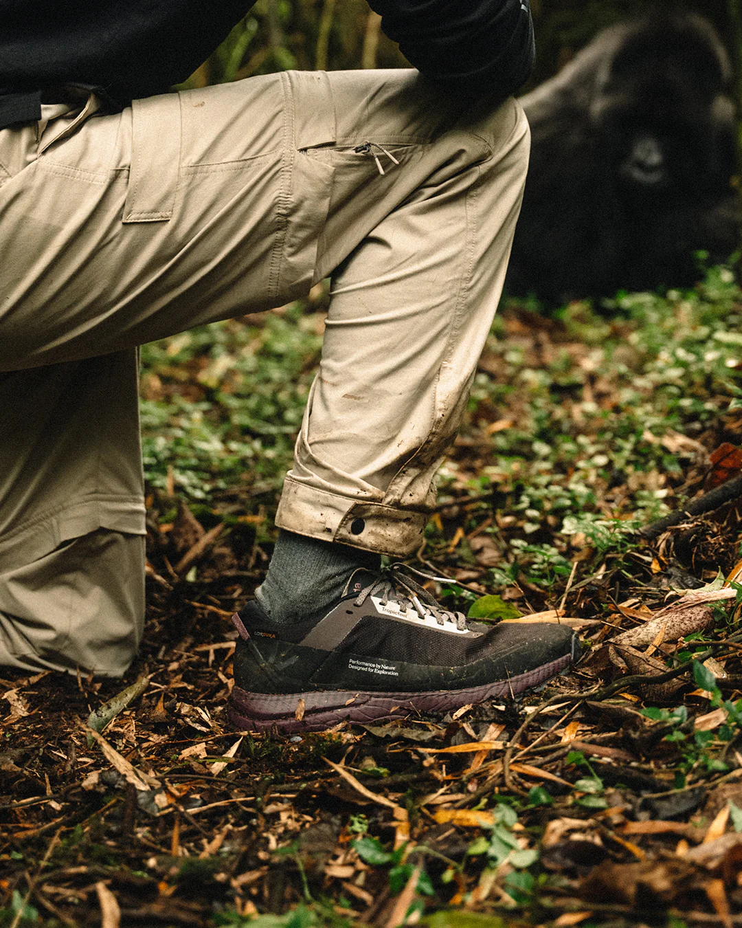 Zenda Coffee Brown - Image 13